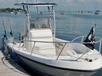 9238-2.jpg