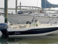 34023-1.jpg