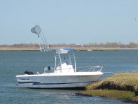 75981-1.jpg