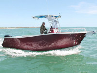 98883-1.jpg