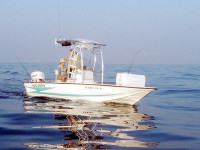 37435-1.jpg