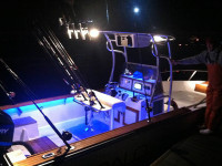 51055-3.jpg